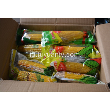 Jagung Manis Segar Kuning